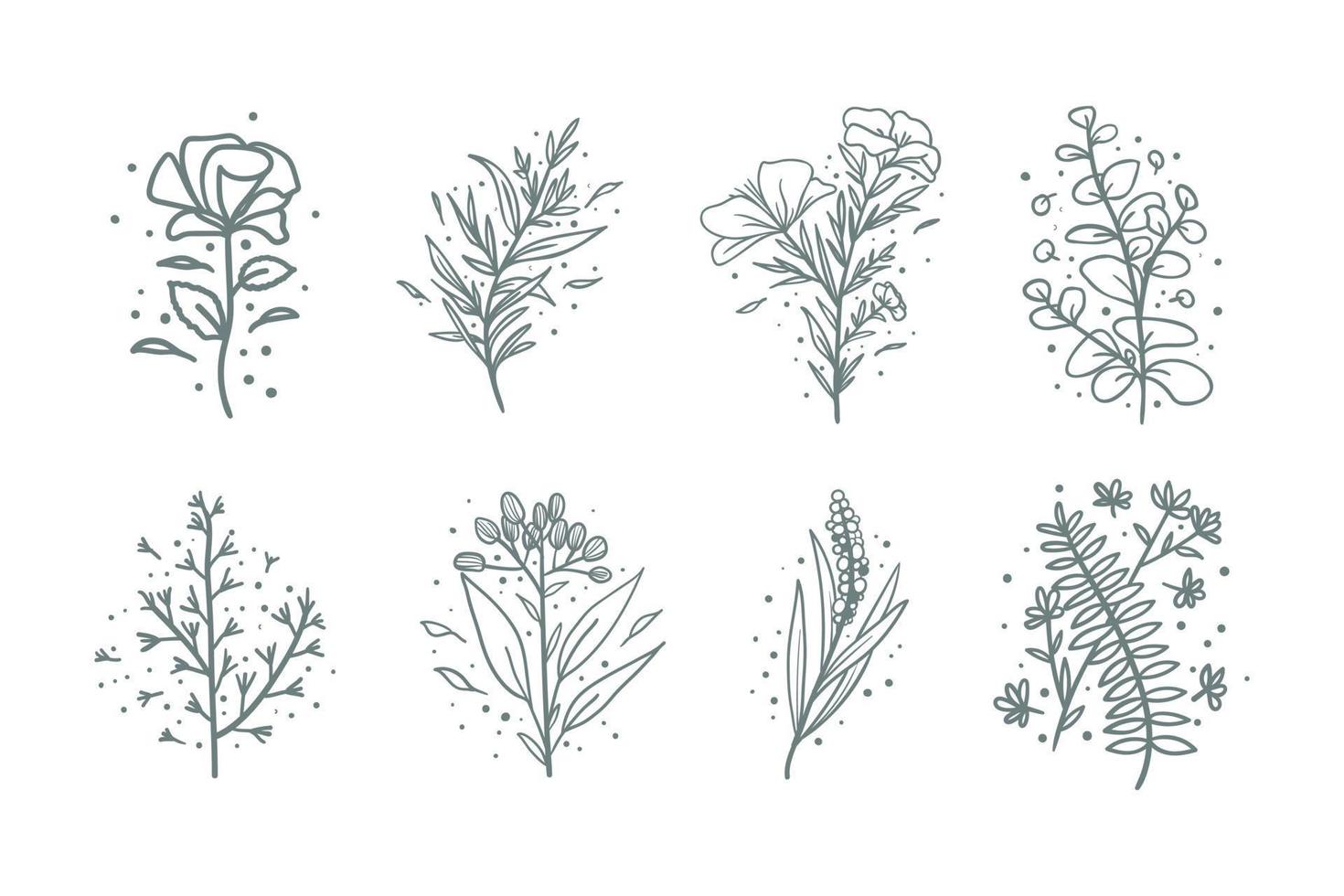 collection de composition de fleurs botaniques dessinées à la main. branches de doodle florales tropicales. vecteur