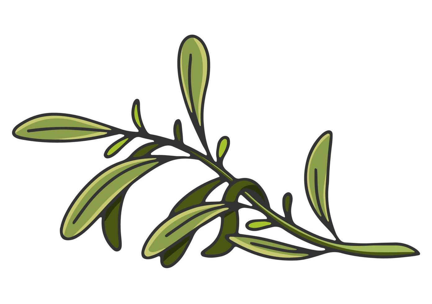 branche d'olivier avec des feuilles. étiquette ou logo d'huile d'olive pour la boutique ou le marché d'un agriculteur. emblème rétro de l'illustration vectorielle d'huile d'olive biologique isolée sur fond blanc. vecteur