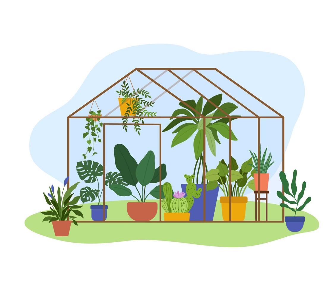 concept de serre de plantation. jardin de verre verrière, fleurs et plantes en pot. illustration vectorielle de jardinage amateur isolé sur blanc. plantes suspendues vecteur