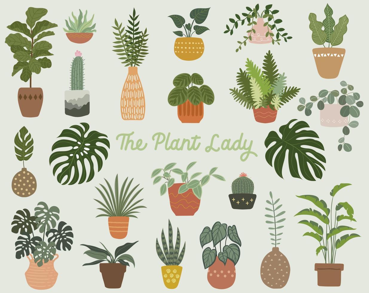 la dame des plantes vecteur