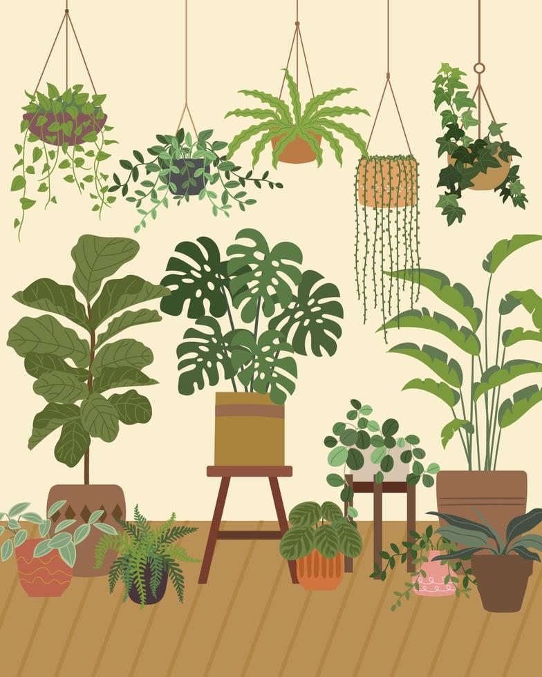 studio de plantes de la jungle urbaine vecteur