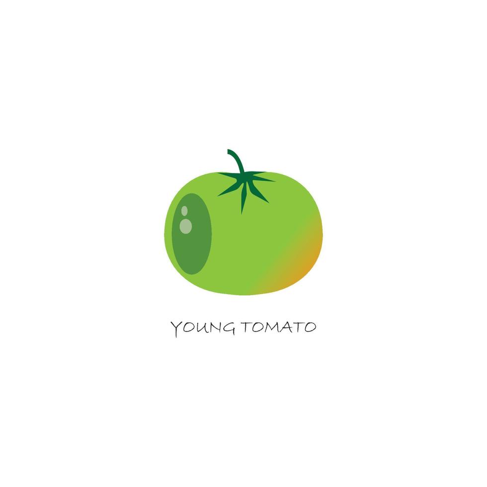 vecteur de logo de tomate