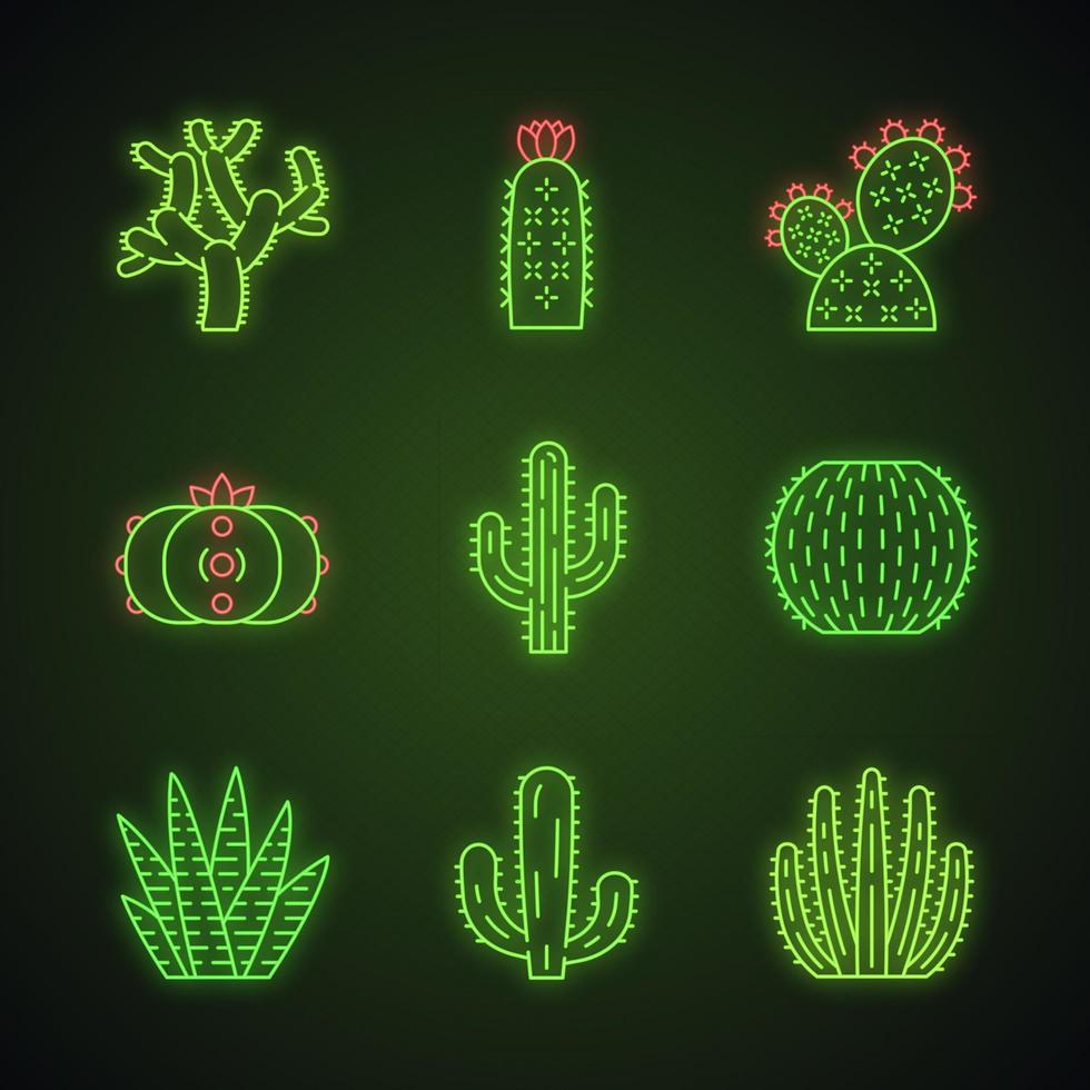 ensemble d'icônes de néon de cactus sauvages. flore tropicale sud-américaine. succulentes. plantes épineuses. collection de cactus. signes lumineux. illustrations vectorielles isolées vecteur