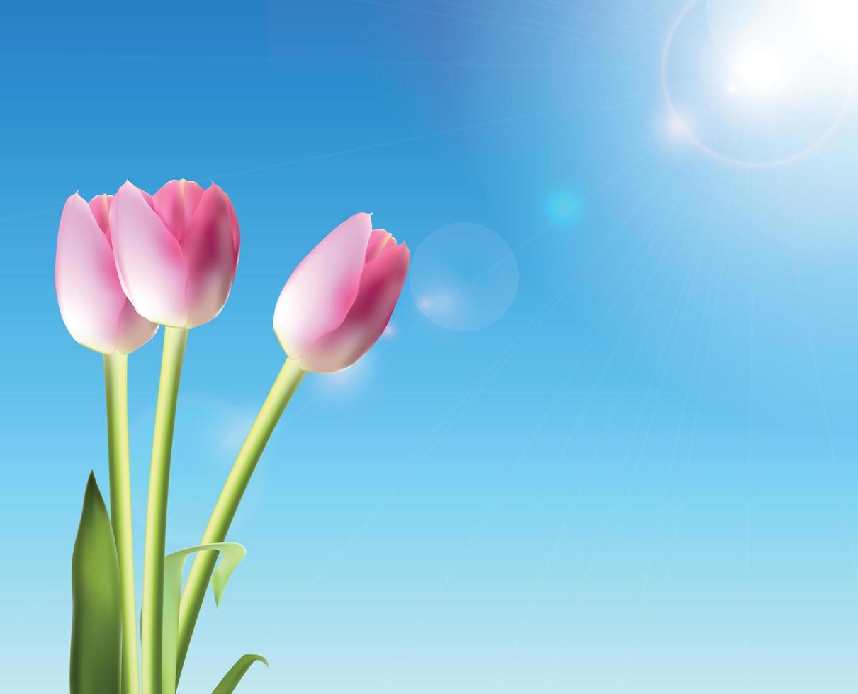 belles tulipes roses contre l'illustration vectorielle de ciel brillant vecteur