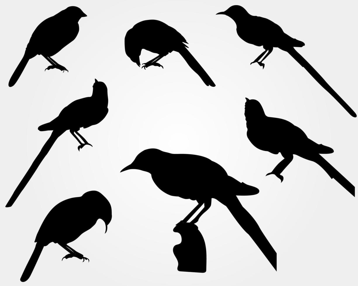 ensemble d'une silhouette d'oiseau noir vecteur