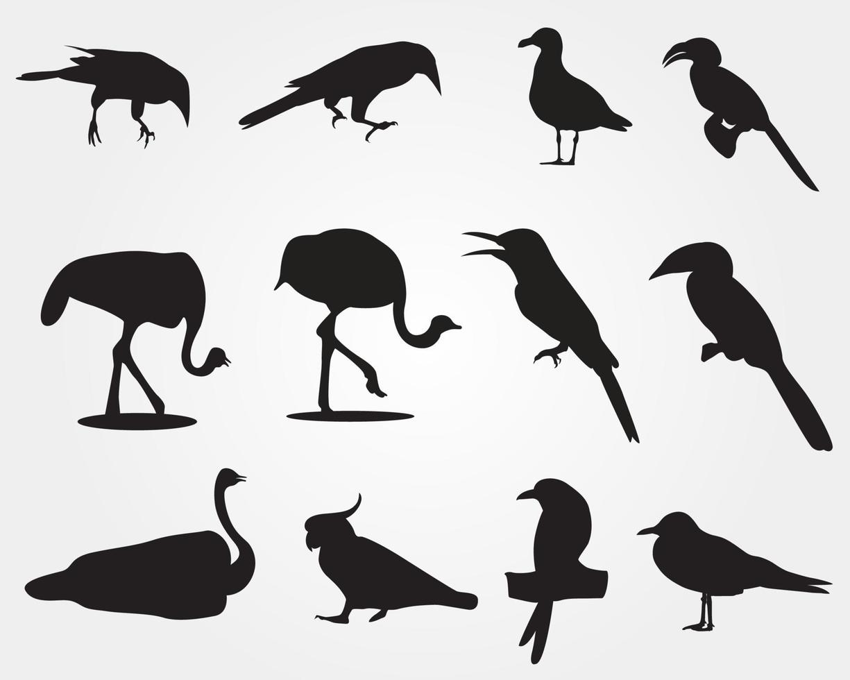 ensemble d'une silhouette d'oiseau noir vecteur