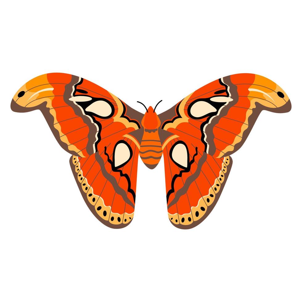 clipart d'illustration vectorielle papillon. papillon mignon isolé. vecteur