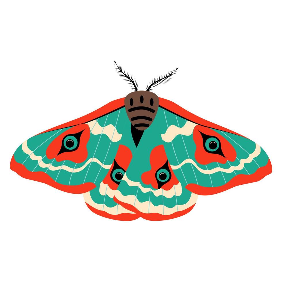 clipart d'illustration vectorielle papillon. papillon mignon isolé. vecteur