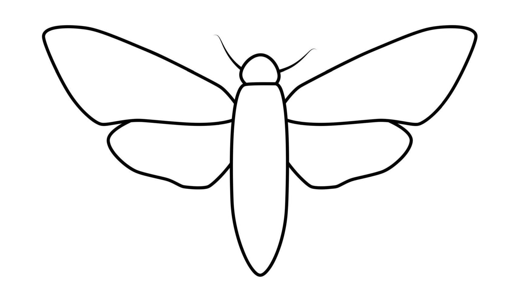 illustration de contour papillon noir et blanc. livre ou page de coloriage pour les enfants vecteur