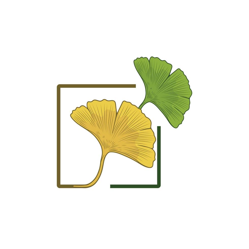 logo 2 feuilles de ginkgo jaune et vert vecteur