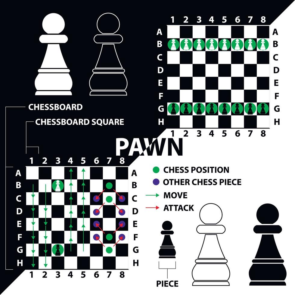 pion. pion noir et blanc avec une description de la position sur l'échiquier et des mouvements. matériel pédagogique pour les joueurs d'échecs débutants. vecteur