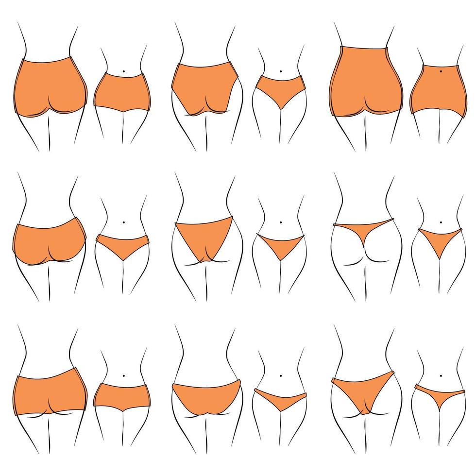 illustration de la conception et de la variété des culottes pour femmes. modèles de lingerie dessinés à la main. les culottes sont classées en différents styles en fonction de critères. vecteur