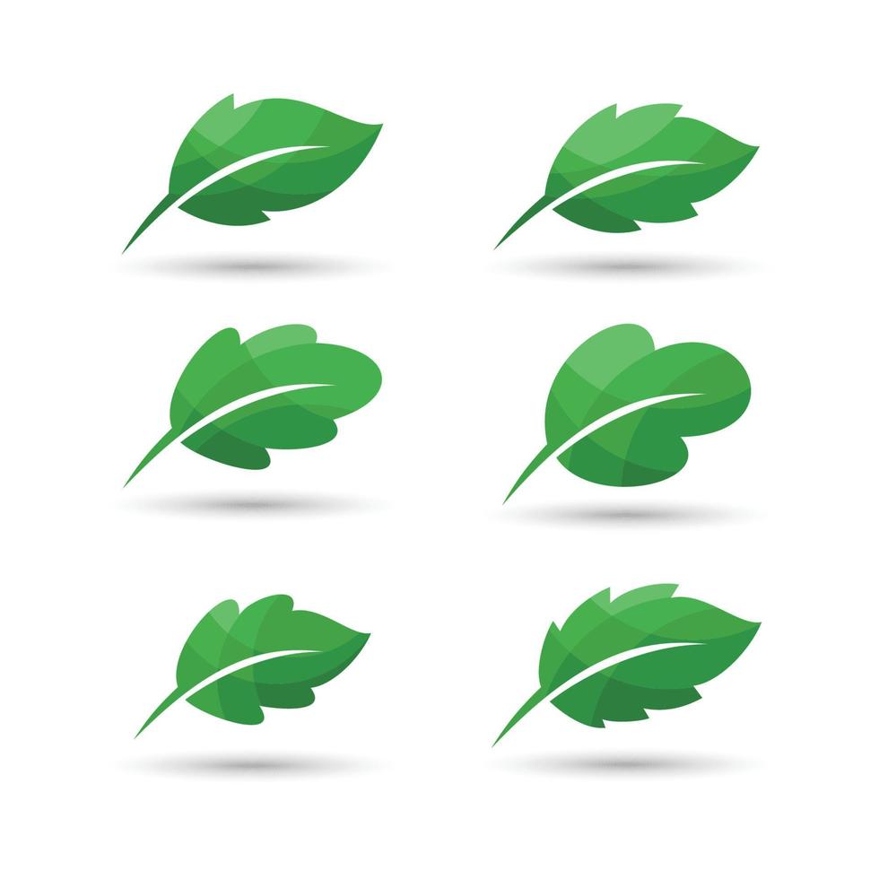 ensemble d'icône de feuille. illustration vectorielle de feuille icône. collection d'icônes de feuilles. signe simple icône feuille vecteur