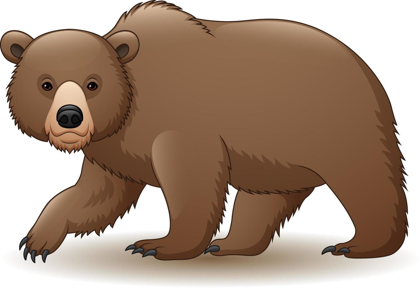 ours brun de dessin animé vecteur