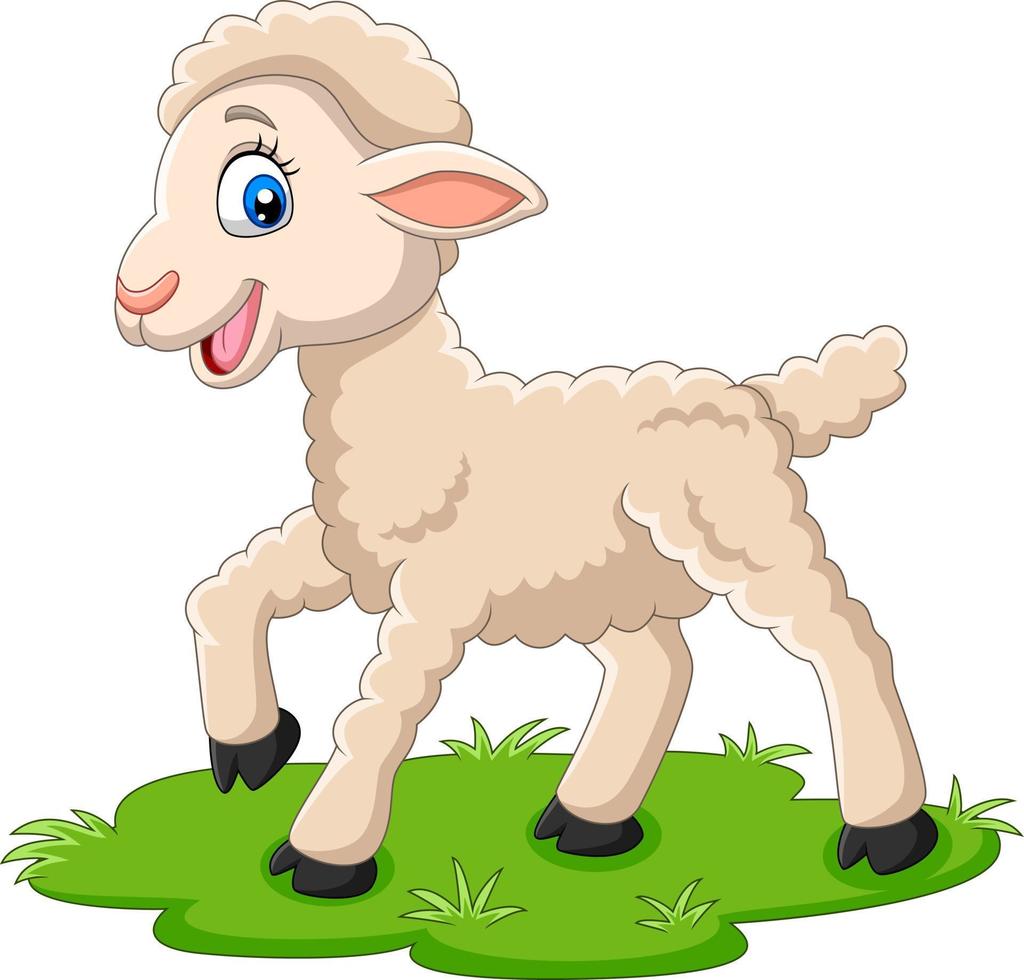 dessin animé heureux agneau sur l'herbe vecteur