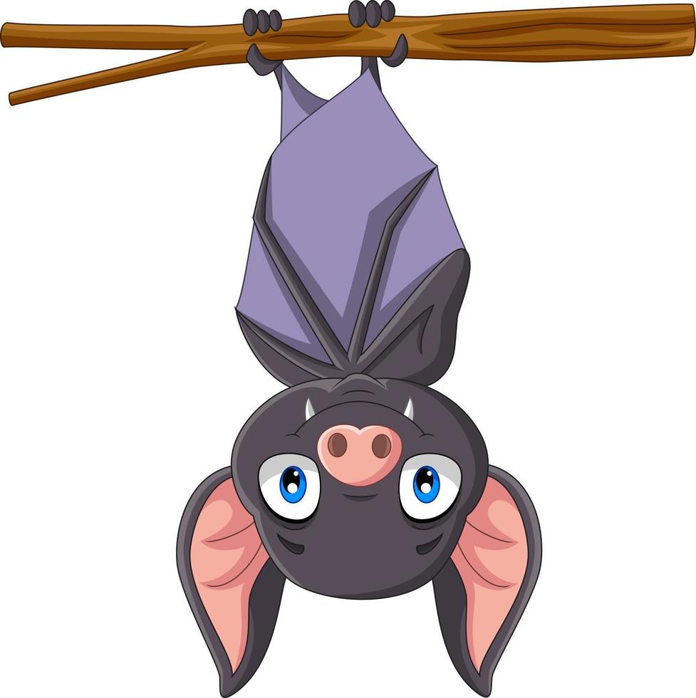 dessin animé mignon de chauve-souris suspendu à la branche vecteur