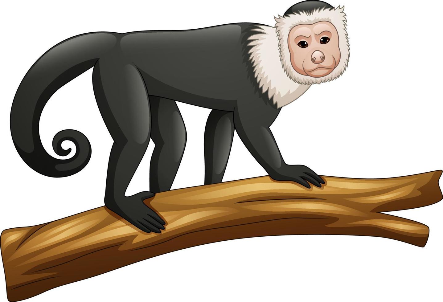 Illustration de singe capucin isolé sur fond blanc vecteur