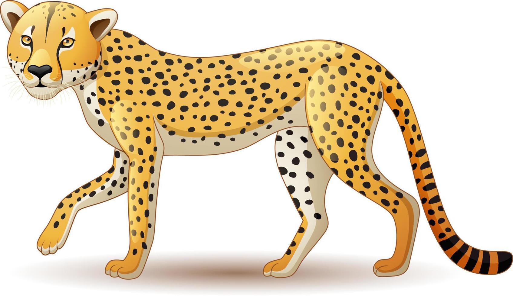 dessin animé guépard isolé sur fond blanc vecteur