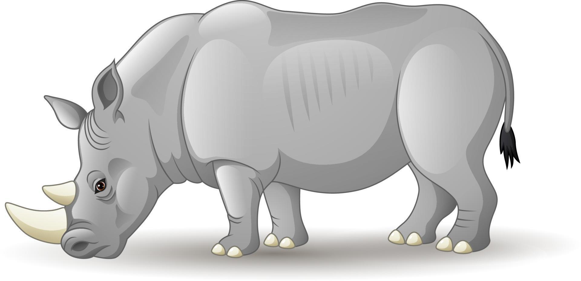 dessin animé rhinocéros africain vecteur