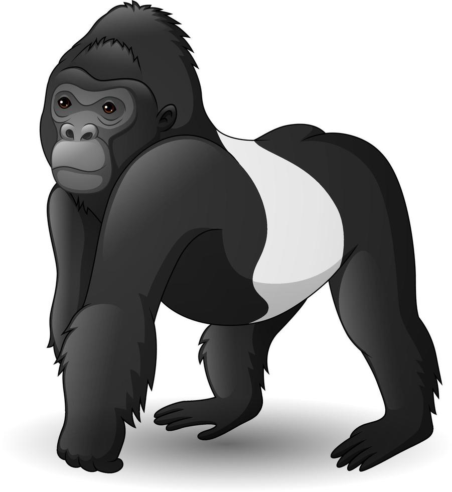dessin animé gorille à dos argenté vecteur