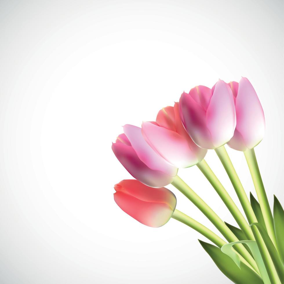 illustration vectorielle de belle tulipe réaliste rose vecteur