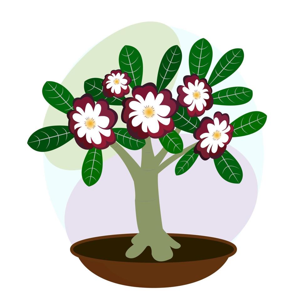 fleur d'intérieur. plante d'appartement. adénium en fleurs. bonsaï. image vectorielle vecteur