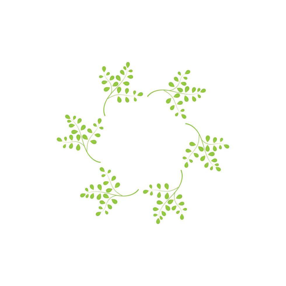 conception de vecteur d'illustration de logo de feuille de moringa