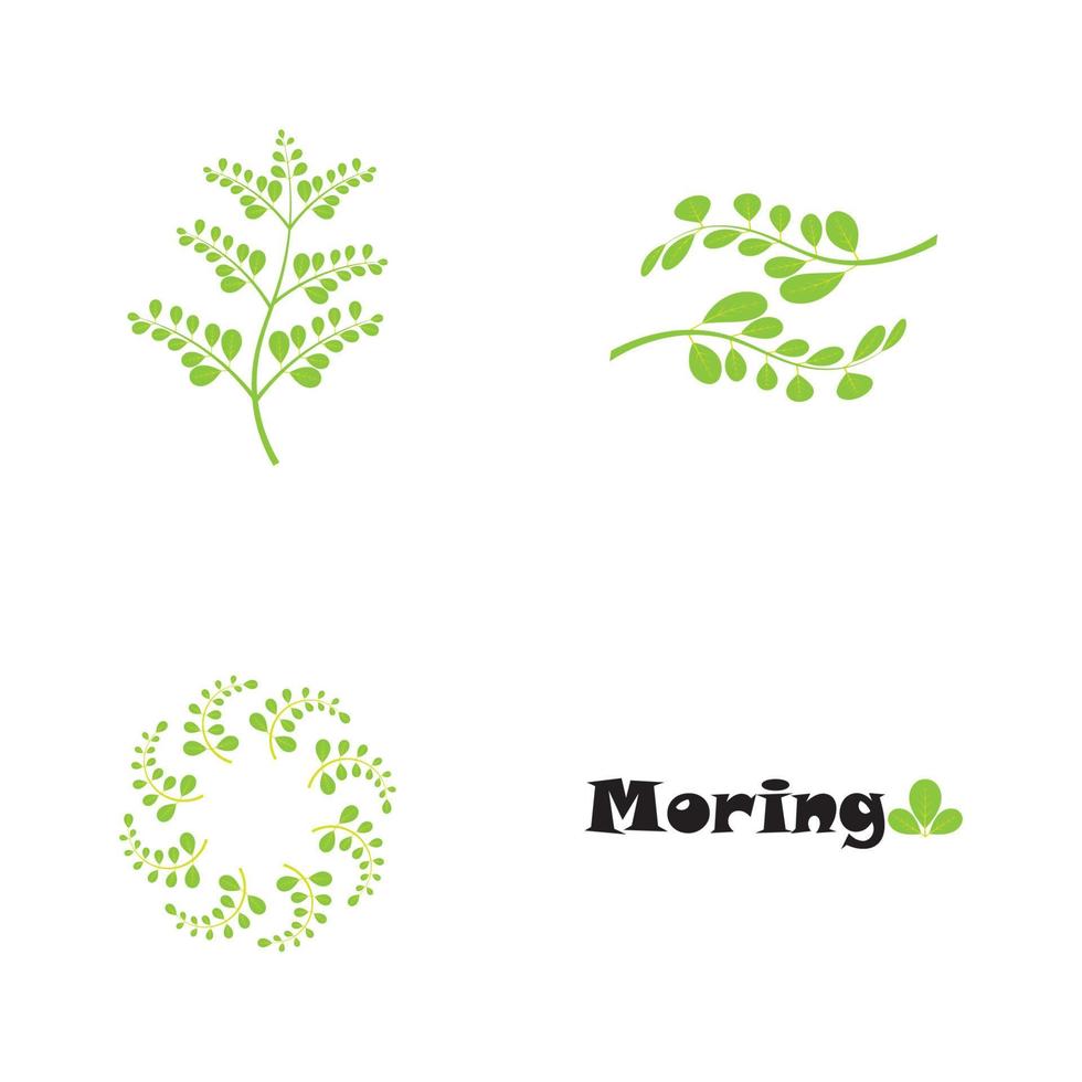 conception de vecteur d'illustration de logo de feuille de moringa