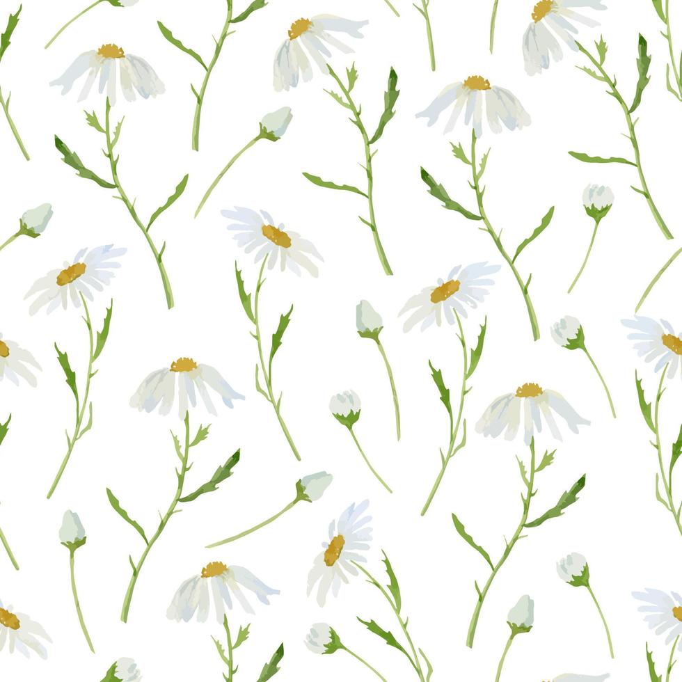 modèle sans couture avec camomille. impression aquarelle avec des fleurs de marguerites blanches. impression vectorielle florale dessinée à la main pour le design textile ou le papier peint vecteur