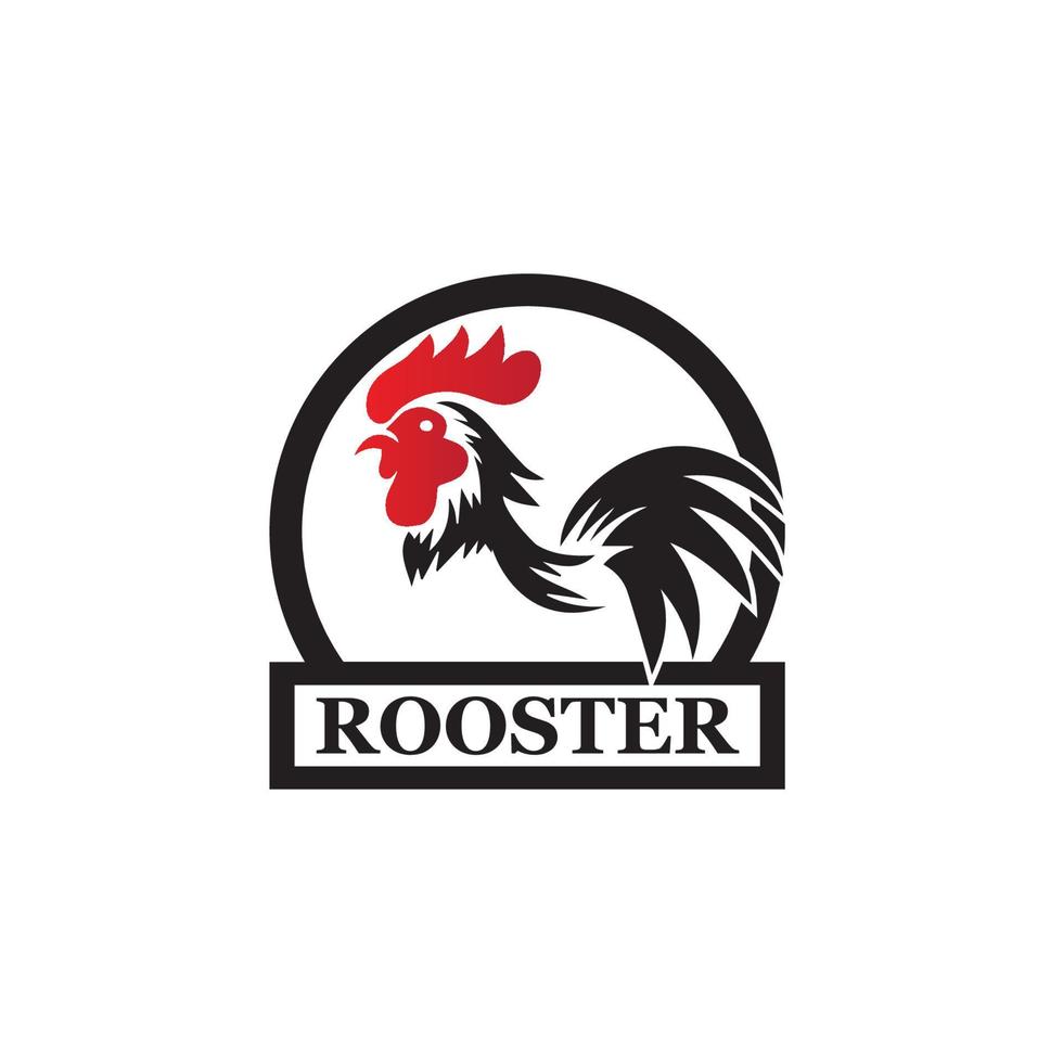 modèle de logo de coq vecteur