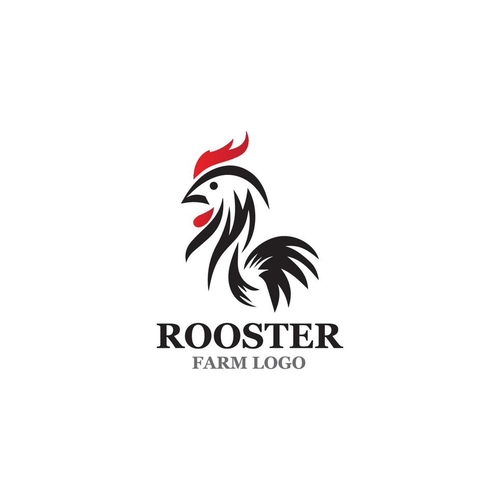 modèle de logo de coq vecteur