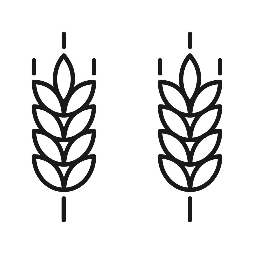modèle vectoriel d'icône d'épis de blé de ferme.pour l'éco-entreprise biologique, l'agriculture, la boulangerie, la création de logo. couleur modifiable