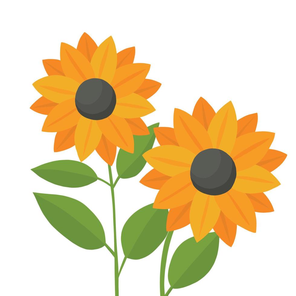 deux belles fleurs de tournesol pour le design. illustration vectorielle dans le style d'été vecteur