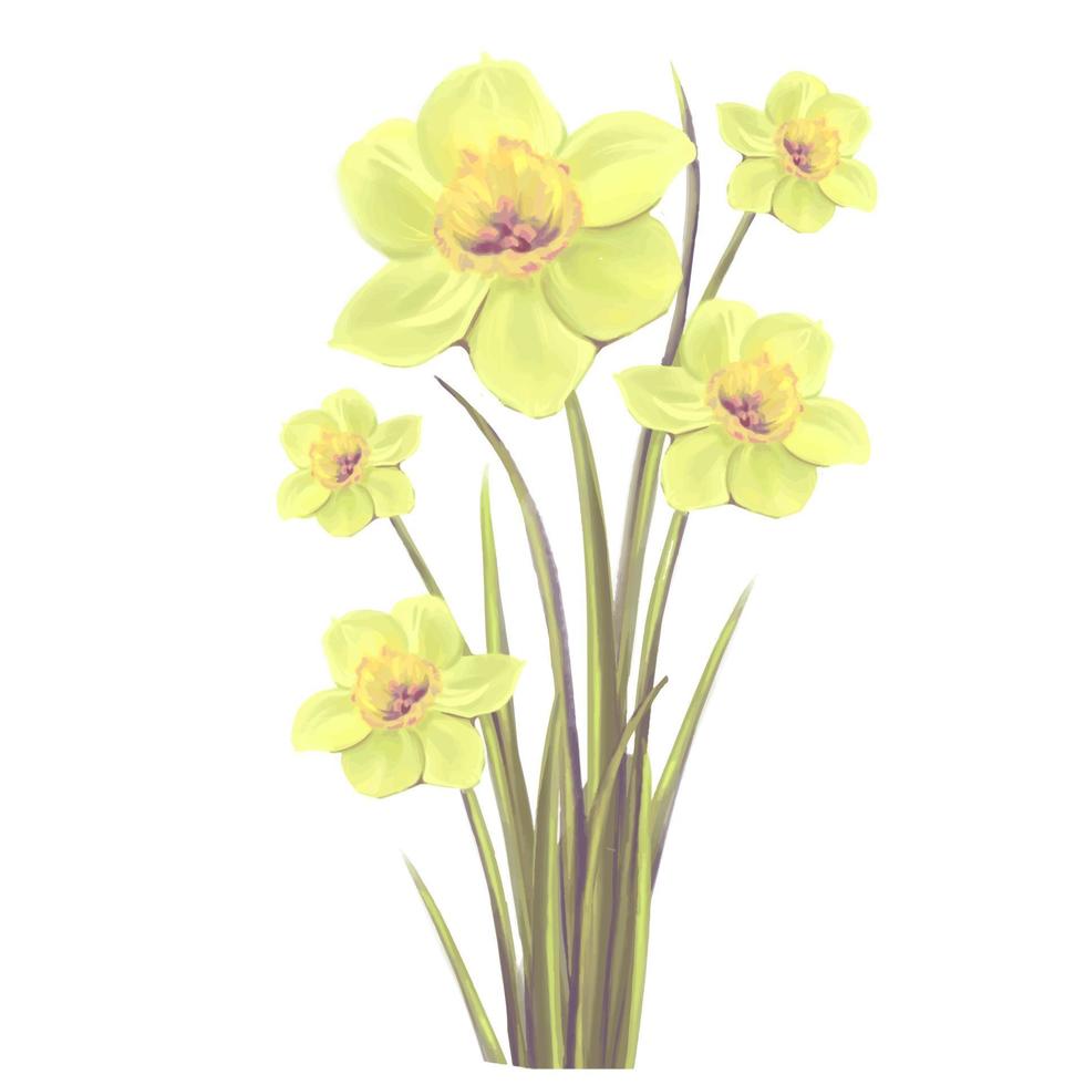 bouquet de jonquilles en fleurs jaunes illustration, vecteur isolé sur fond blanc