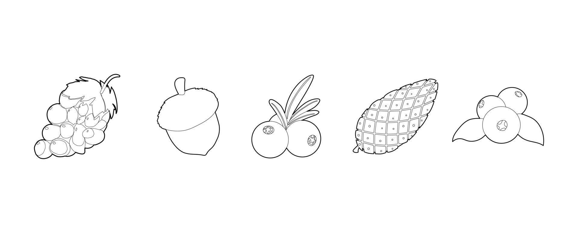 jeu d'icônes de fruits, style de contour vecteur