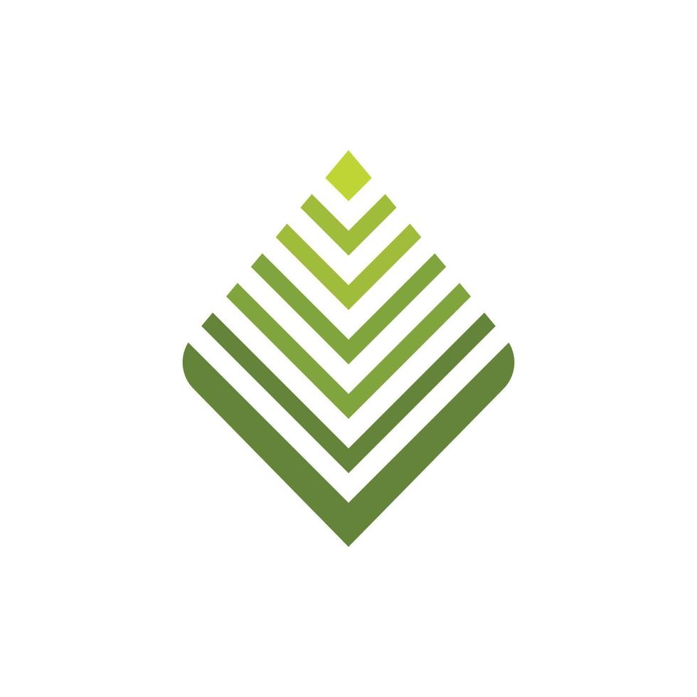 palmier feuille illustration logo modèle vecteur conception