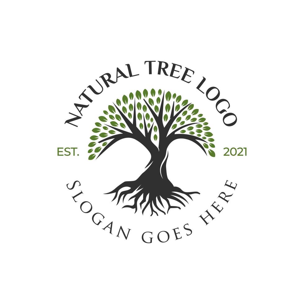 création de logo créatif de vie d'arbre, icône d'arbre, conception d'éléments de jardin vert vecteur