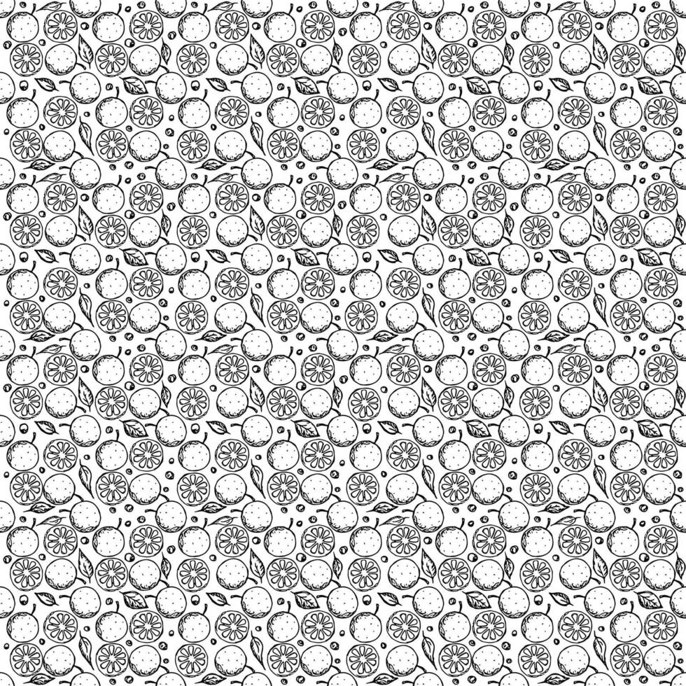 motif orange sans soudure. fond orange noir et blanc. illustration vectorielle de doodle avec des fruits vecteur