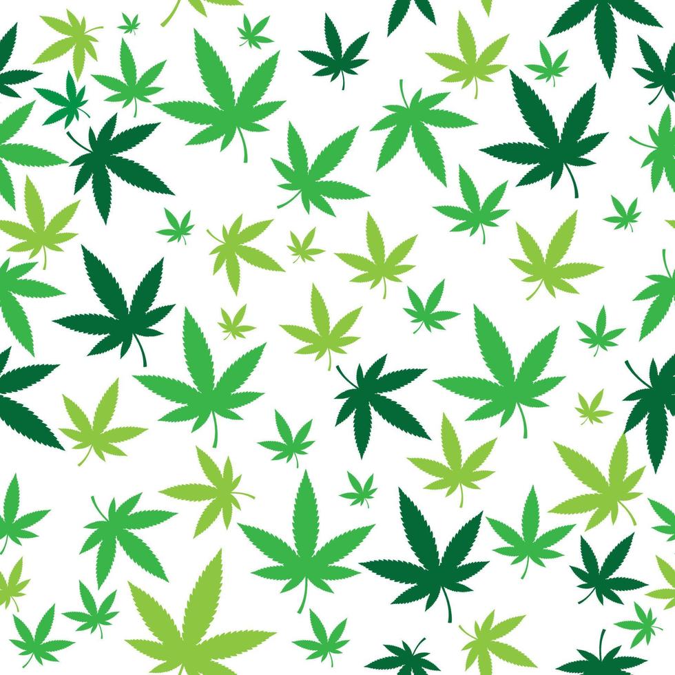 très belle conception de motif de feuille de cannabis sans soudure pour décorer l'arrière-plan du site Web, le papier peint, le papier d'emballage, le tissu, la toile de fond, etc. vecteur