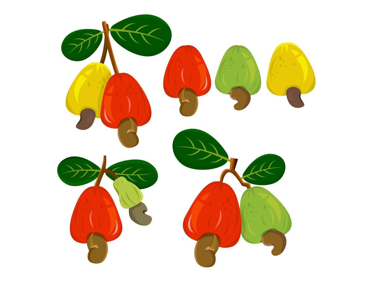 conception d'éléments de noix de cajou et de feuilles signe de noix de cajou. illustration de symbole isolé vecteur