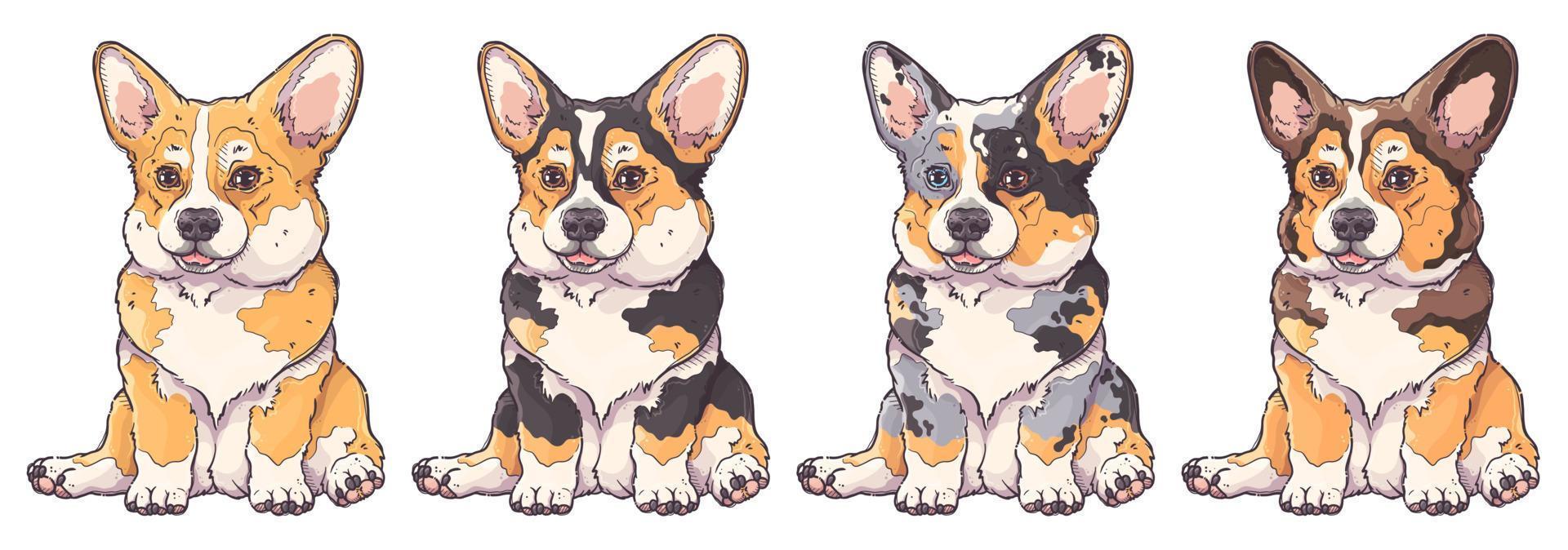 vecteur de portrait de chiot corgi dessiné à la main