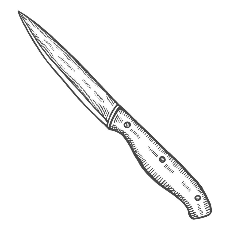 couteau à découper de cuisine croquis dessiné à la main doodle isolé avec style de contour vecteur