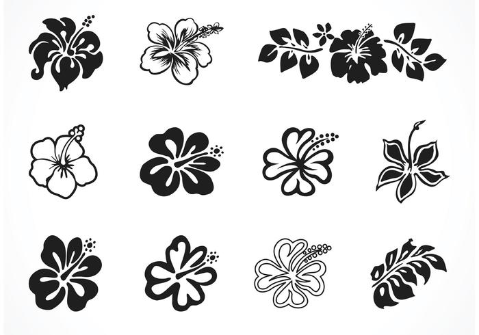 Silhouettes Vector Free Hibiscus