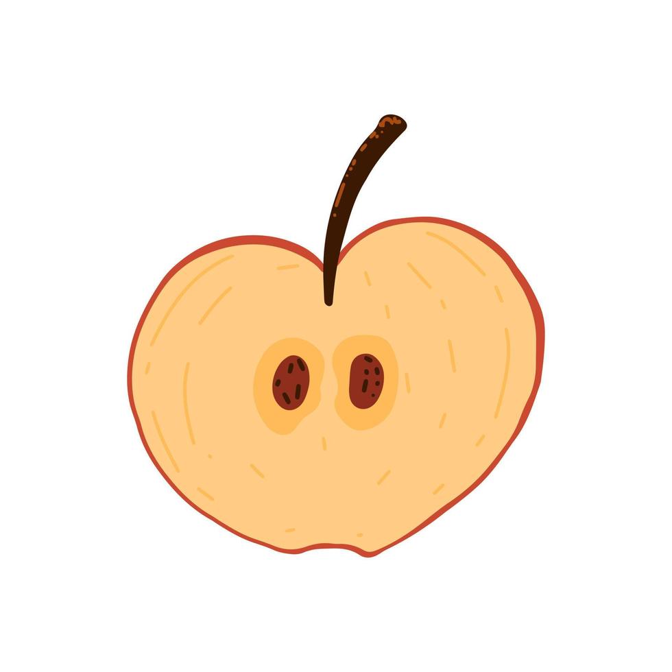 une demi-pomme. fruits avec des textures dans un style dessiné à la main. illustration vectorielle. vecteur