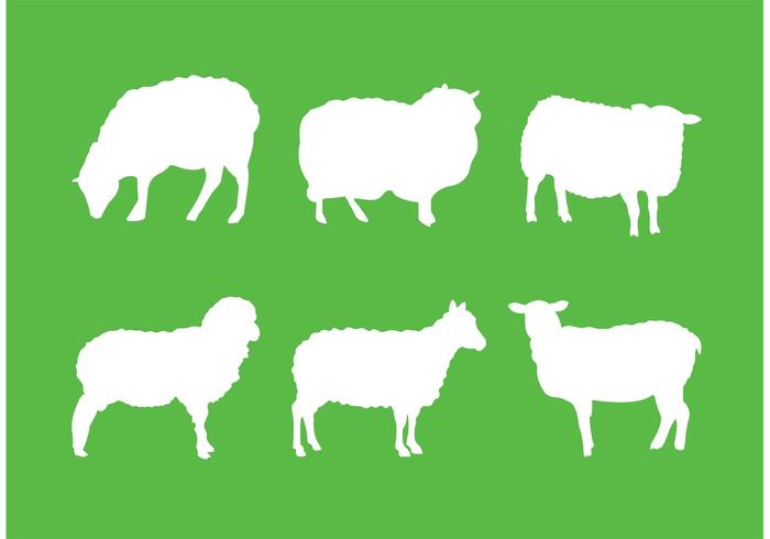 Silhouette des moutons vecteur