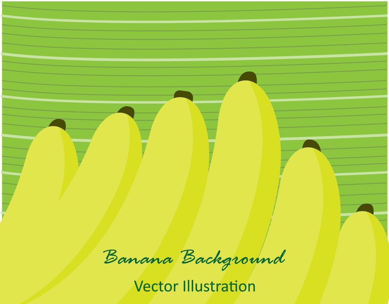 banane dorée sur fond de feuilles de bananier vecteur