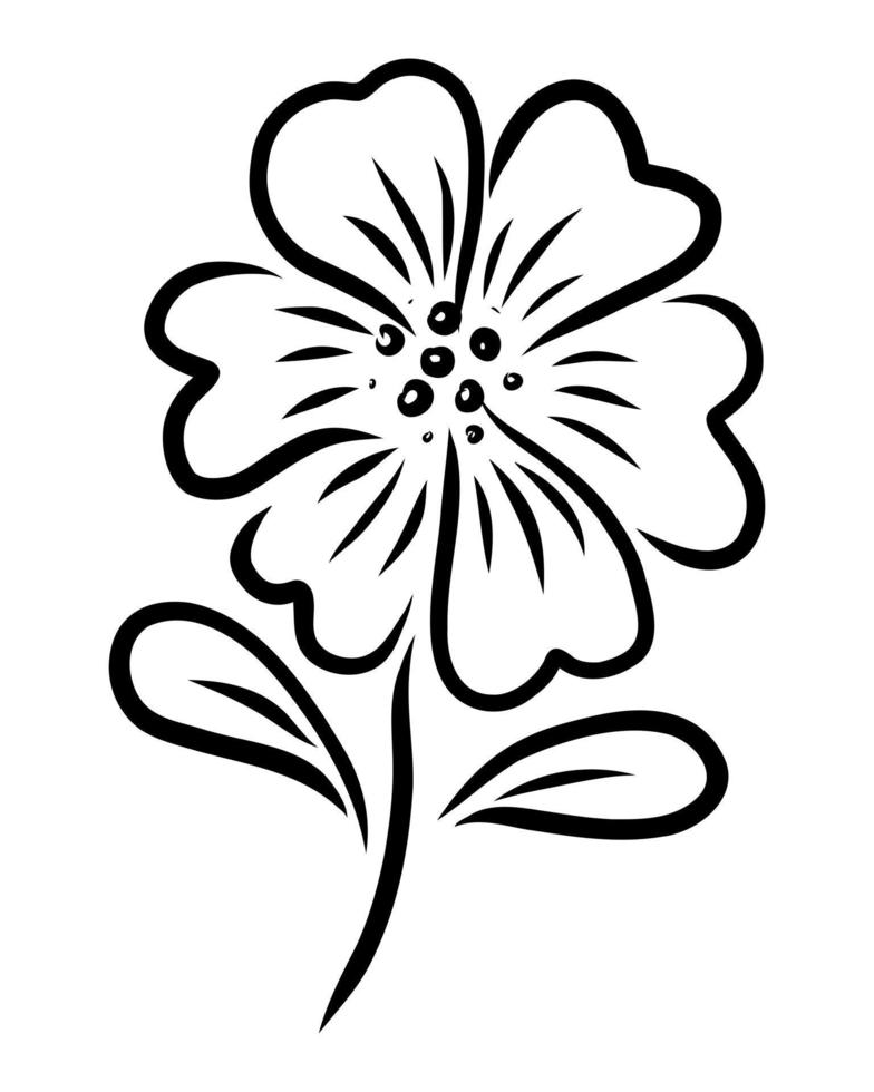 dessin linéaire vectoriel d'une fleur sur fond blanc