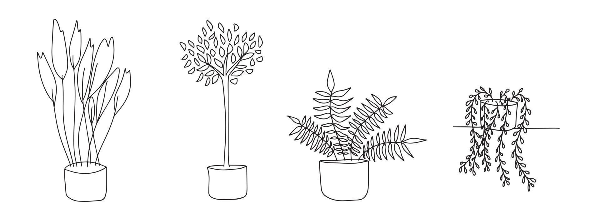 ensemble de fleurs pour la maison. les fleurs en pots sont dessinées avec une ligne noire sur fond blanc. lignes de dessin vectoriel