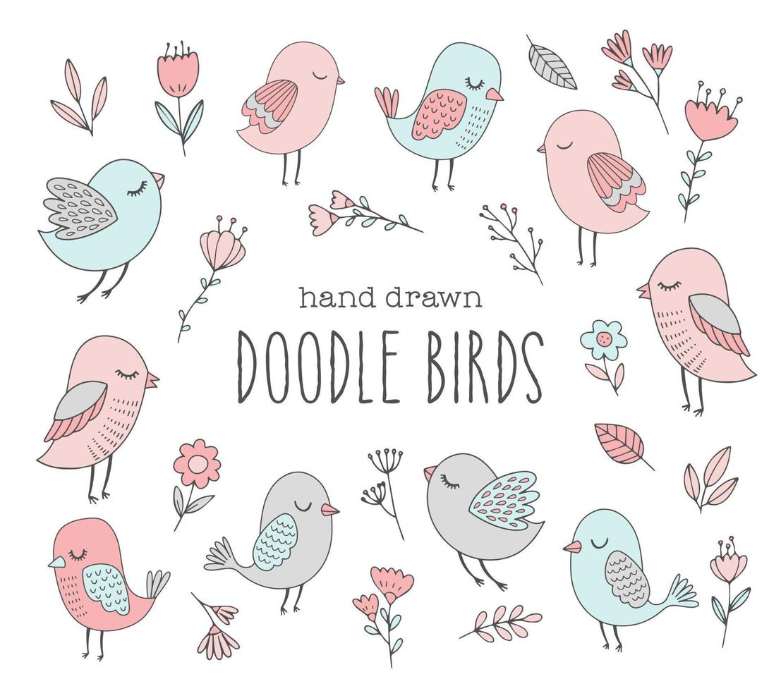 oiseaux dessinés à la main de vecteur. mignons personnages d'oiseaux doodle avec des fleurs et des feuilles. illustrations printanières amusantes aux couleurs pastel. vecteur