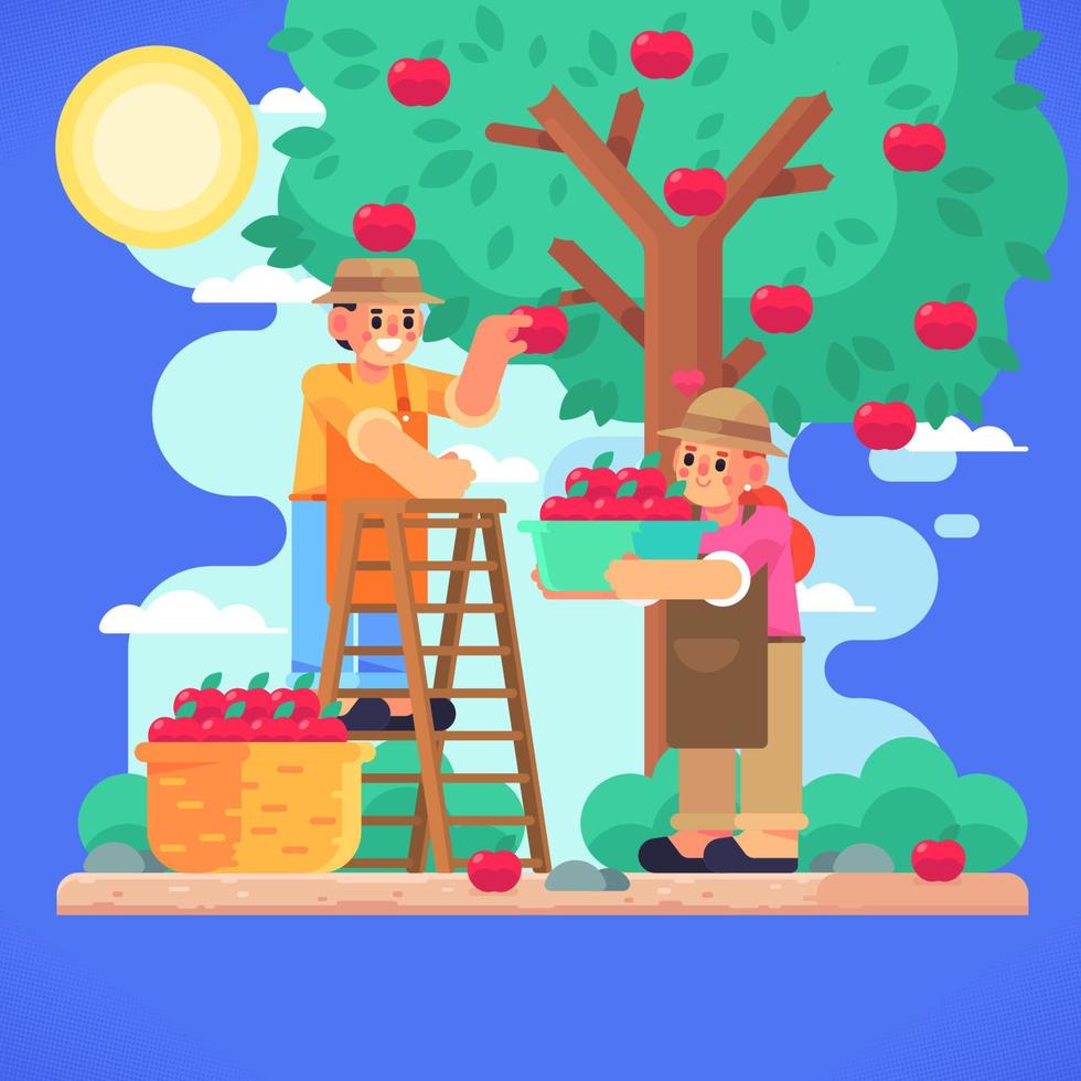 un couple cueillant des pommes dans un verger vecteur